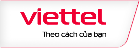 lapdatinternetviettelhcm.com